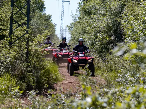 Quad safari preview