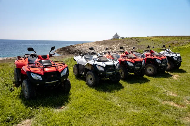 Quad fleet on a grassy cape above the sea