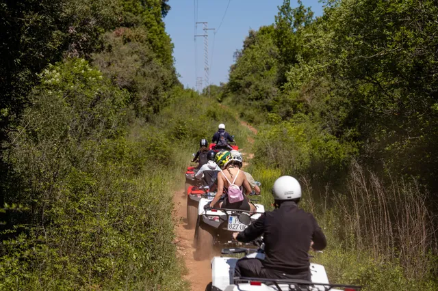 Quad convoy riding away down a dusty trail