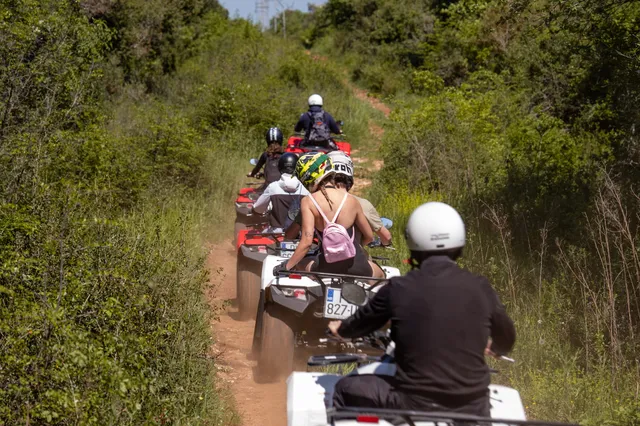 Quad convoy on a forest trail from behind