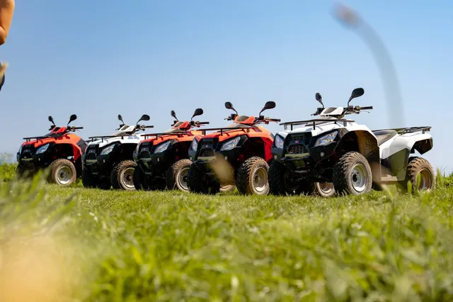 Row of quads lined up on grass