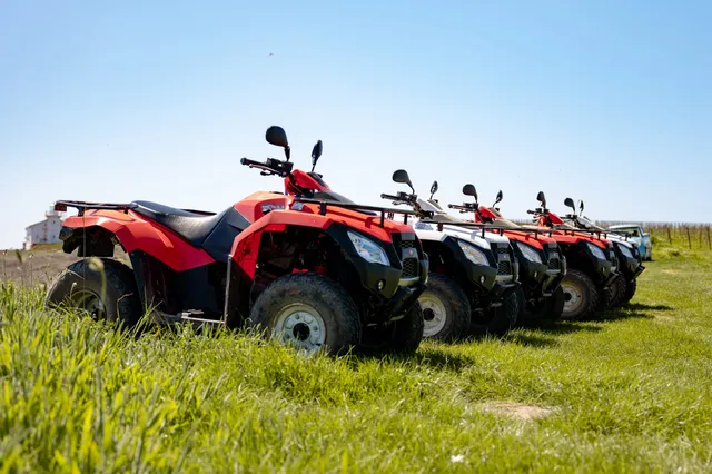 Rear view of quads lined up on grass