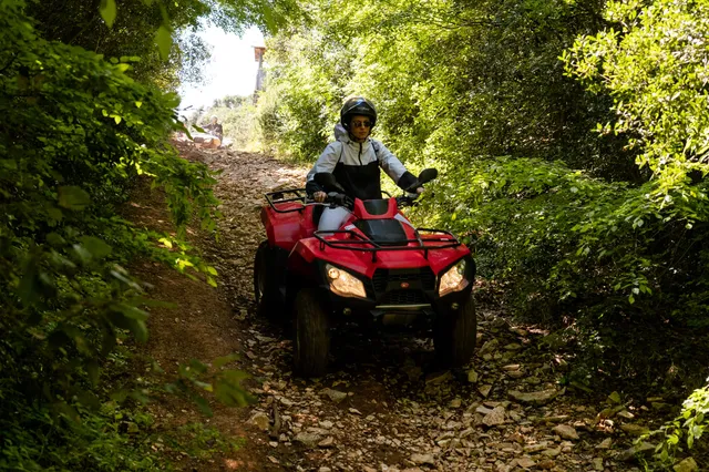 Quad descending a rocky forest trail