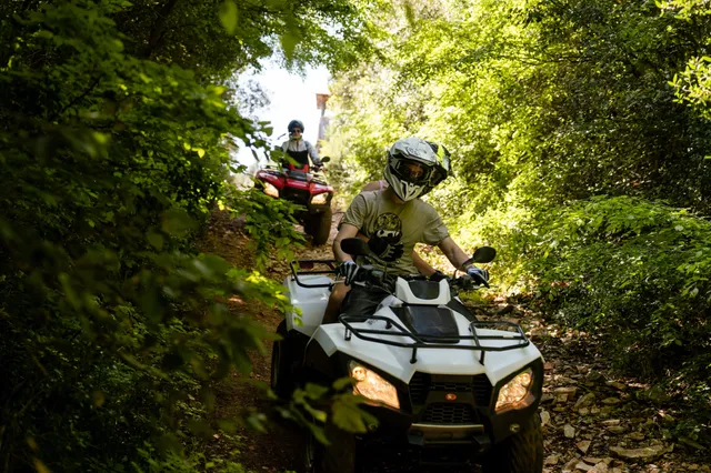 White quad leading through a shaded forest