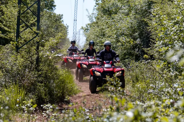 Quad convoy on a wildflower-lined trail