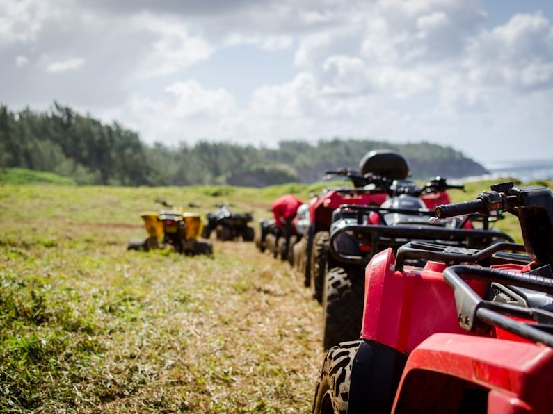 Quad safari preview