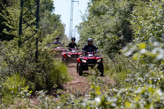 Quad safari group riding a green trail